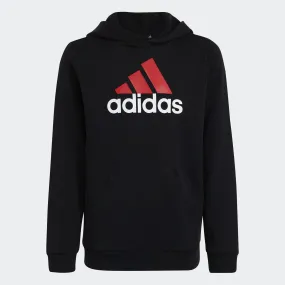 Adidas Kids Essentials Two-Colored Big Logo Cotton Hoodie