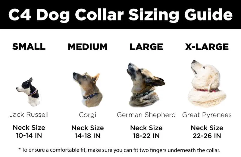 C4 Dog Collar (Pawprints)