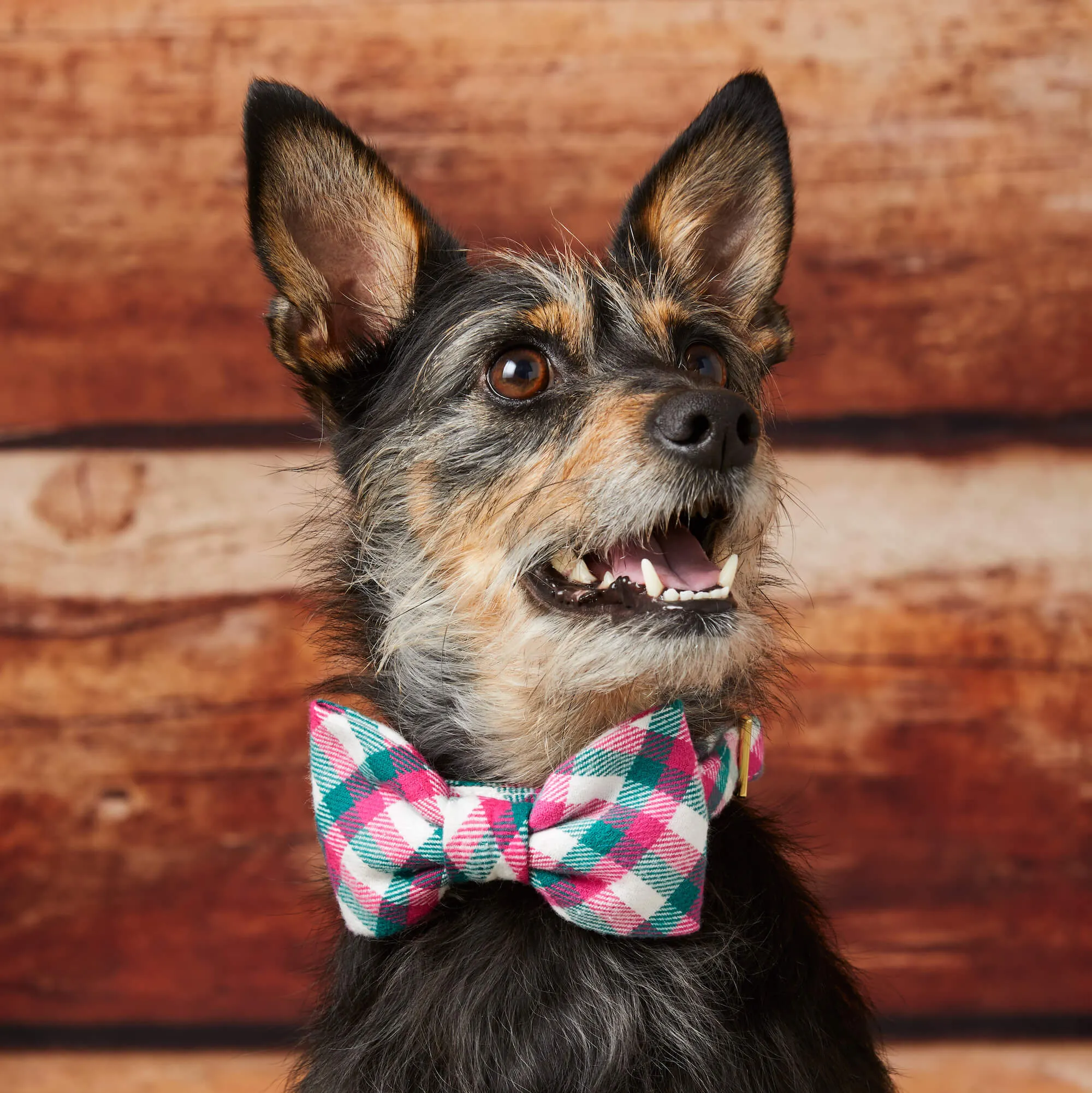 Callie Plaid Flannel Bow Tie Collar