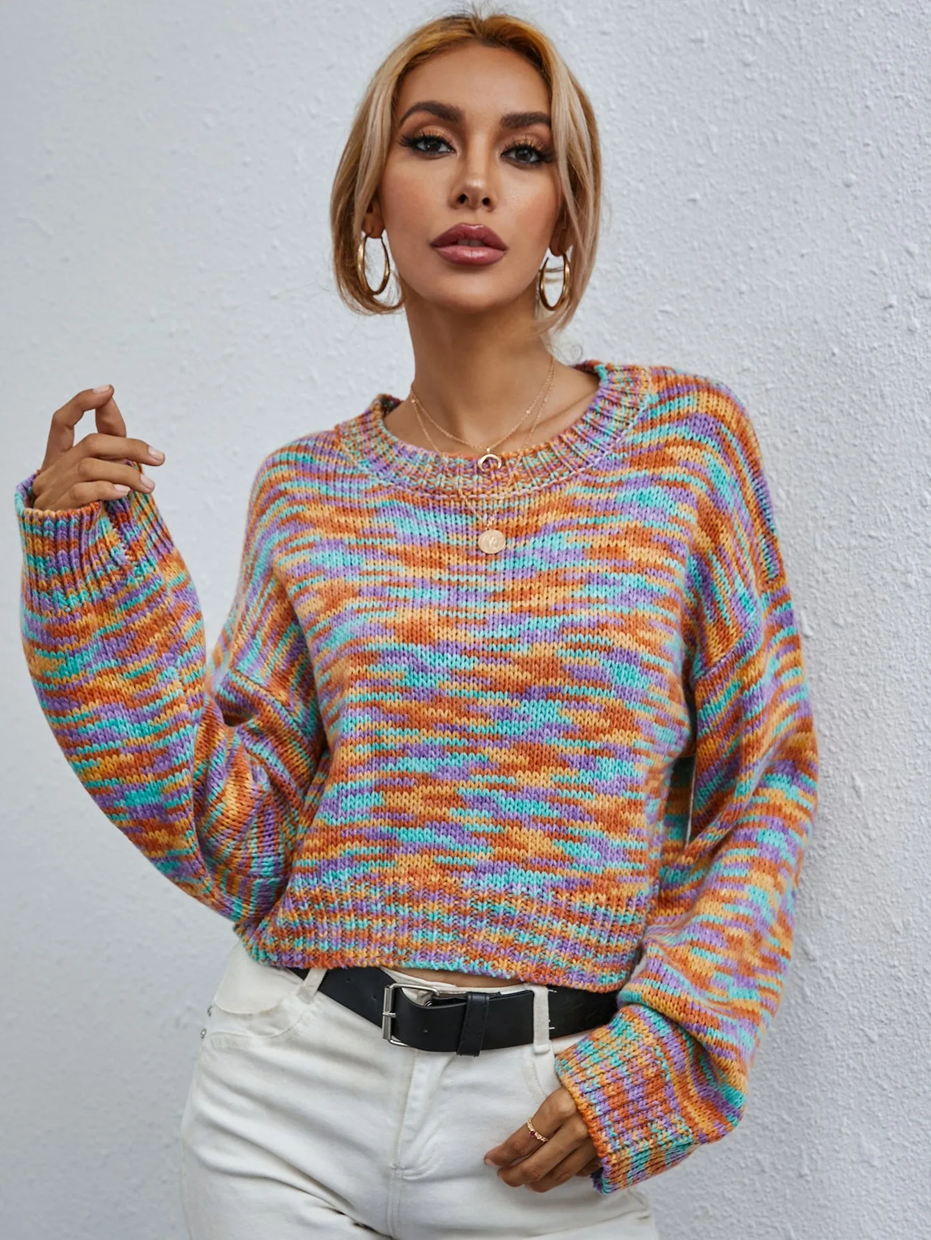 Casual Long Sleeve Round Neck Crop Women Sweater