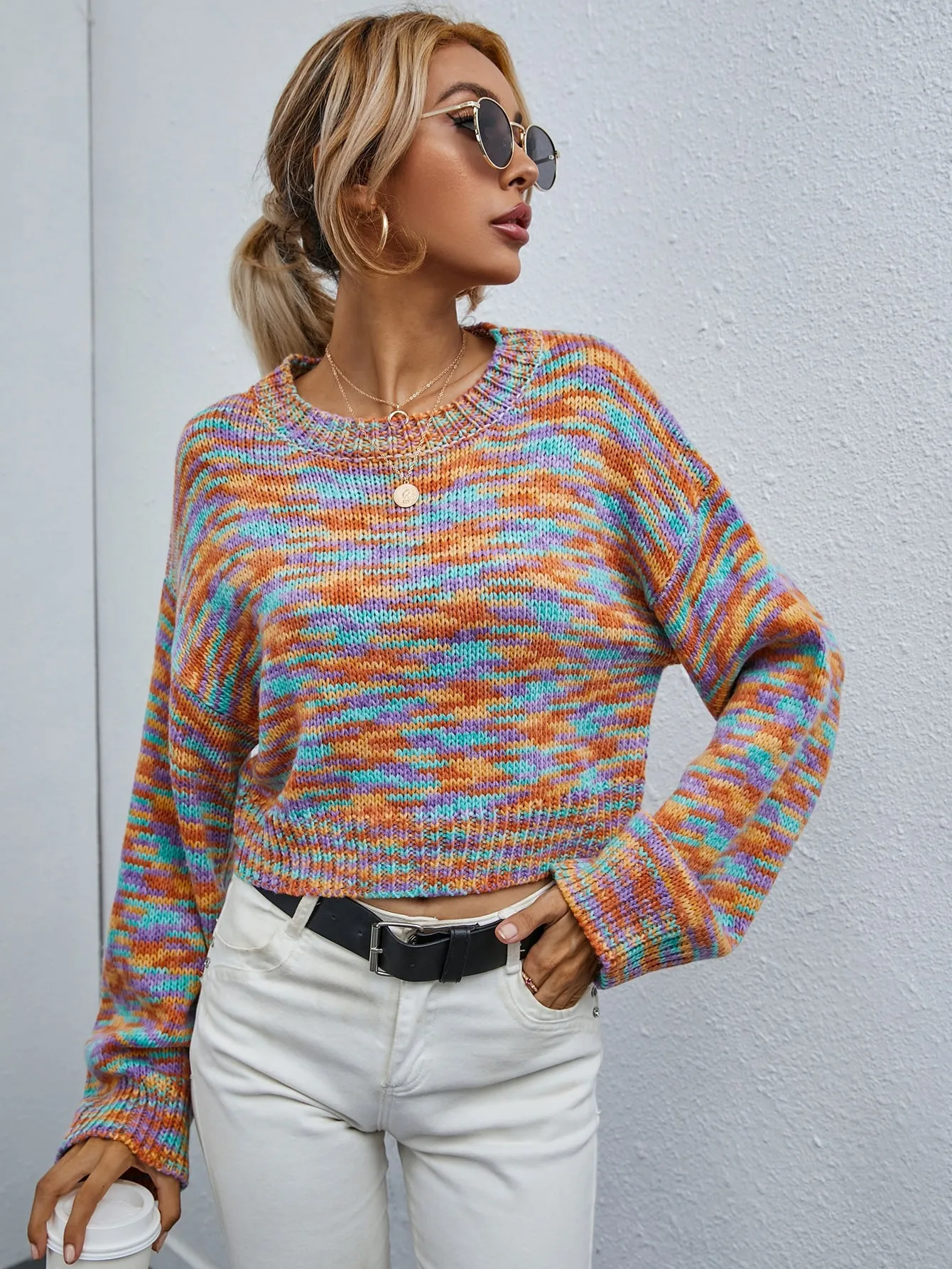 Casual Long Sleeve Round Neck Crop Women Sweater