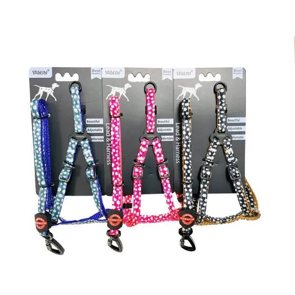 Extra Small Pet Leash & Harness Set - Assorted Colours