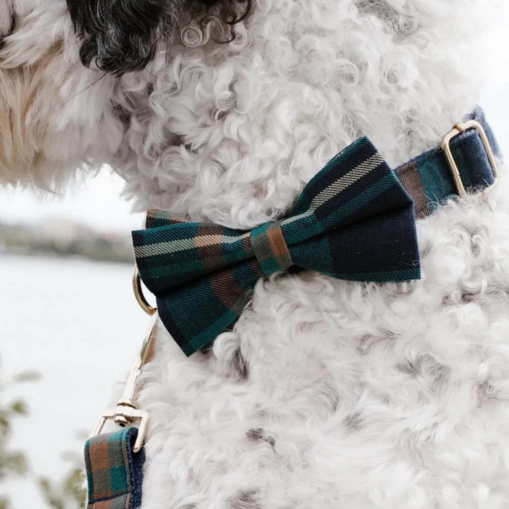 Gentleman Bowtie Unbreakable Collar™ & Leash Set