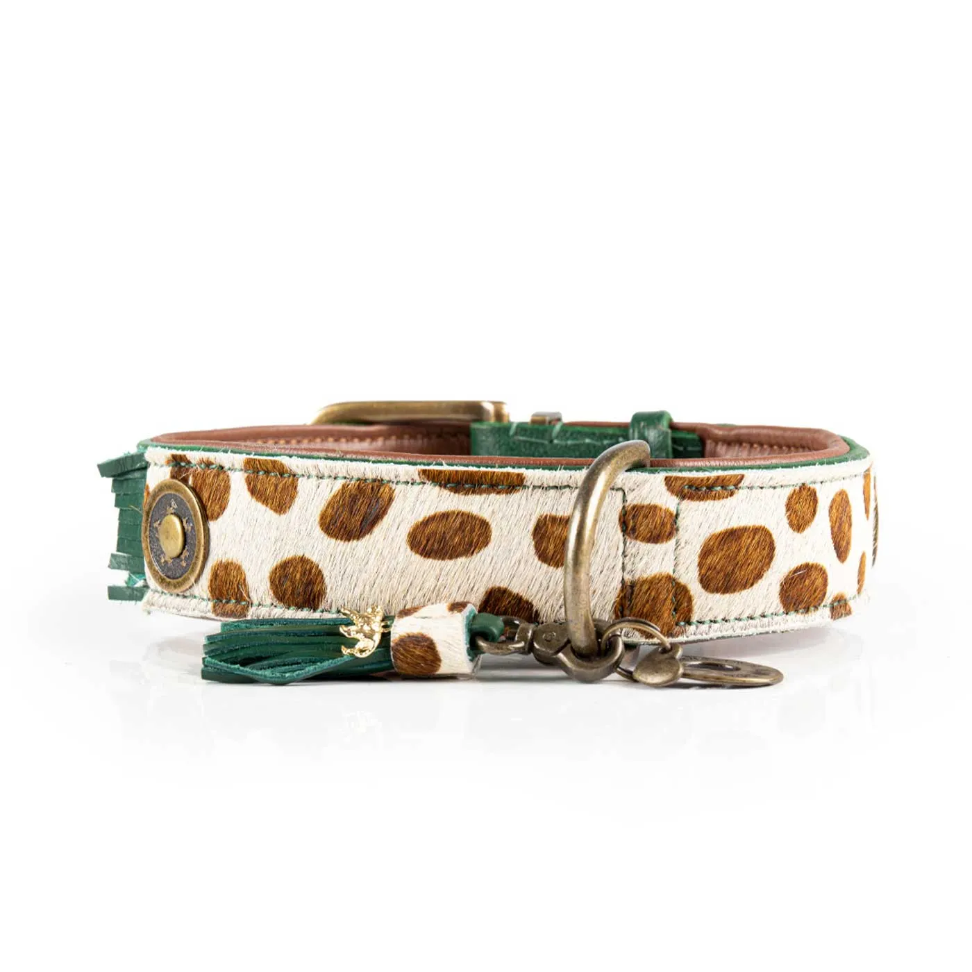 Ivy Dog Collar by DWAM