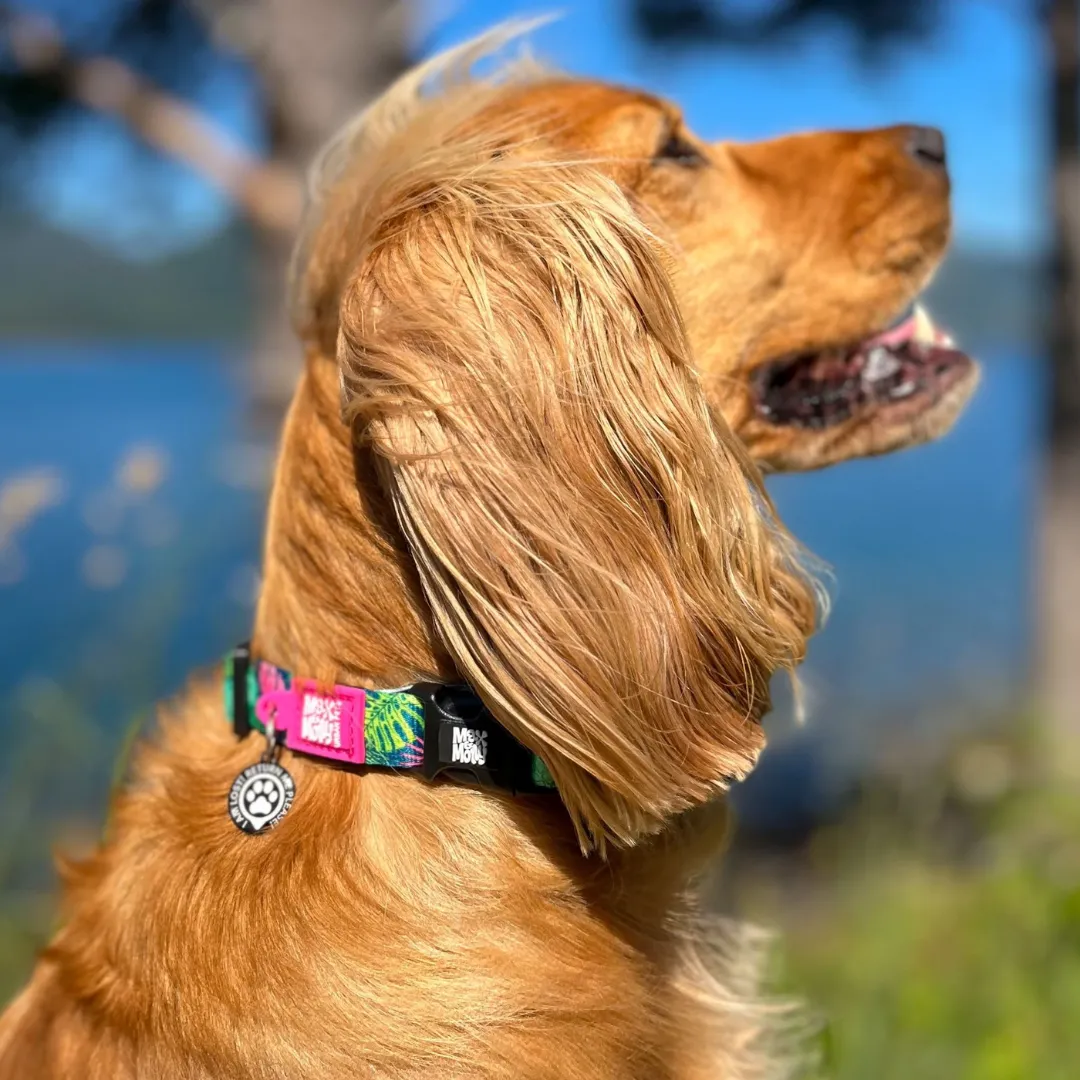 Max & Molly Tropical Smart ID Dog Collar