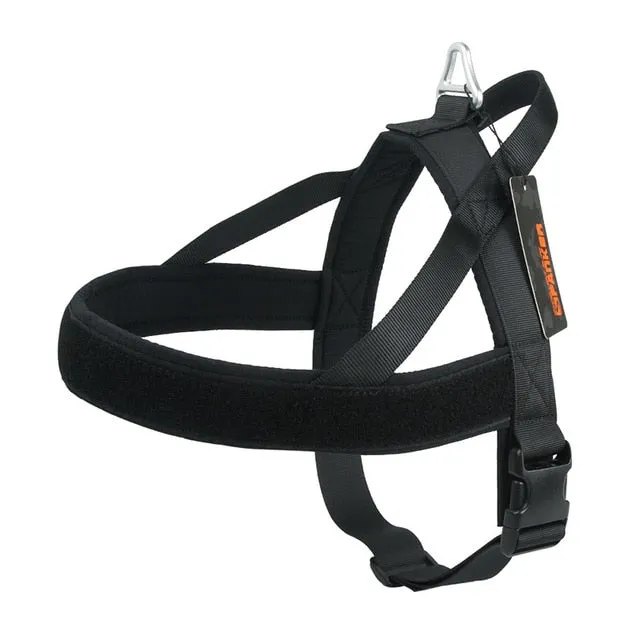 Minimal Dog Harness