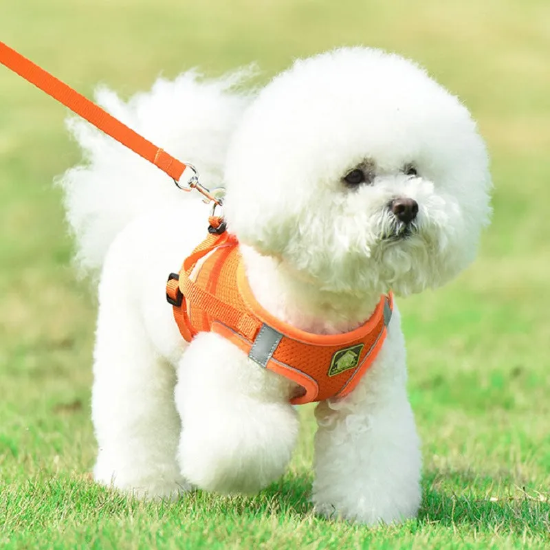 No Pull Reflective Harness And Leash Set For Small Dogs and Cats