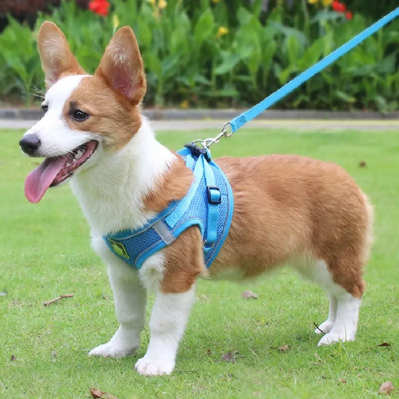 No Pull Reflective Harness And Leash Set For Small Dogs and Cats