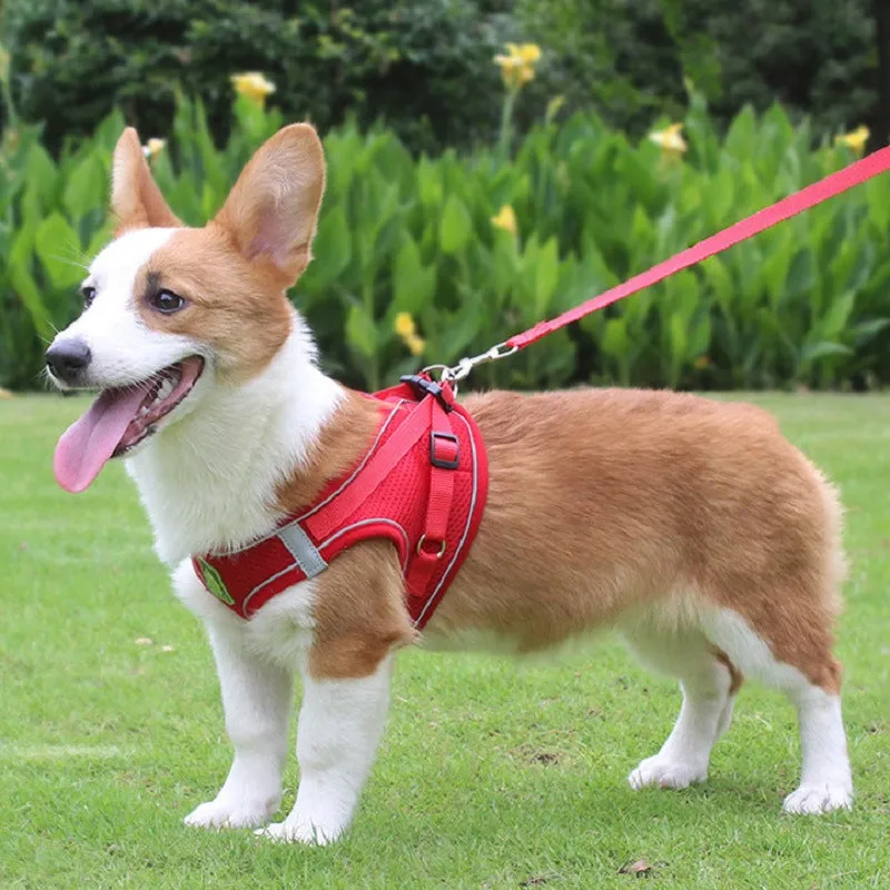 No Pull Reflective Harness And Leash Set For Small Dogs and Cats