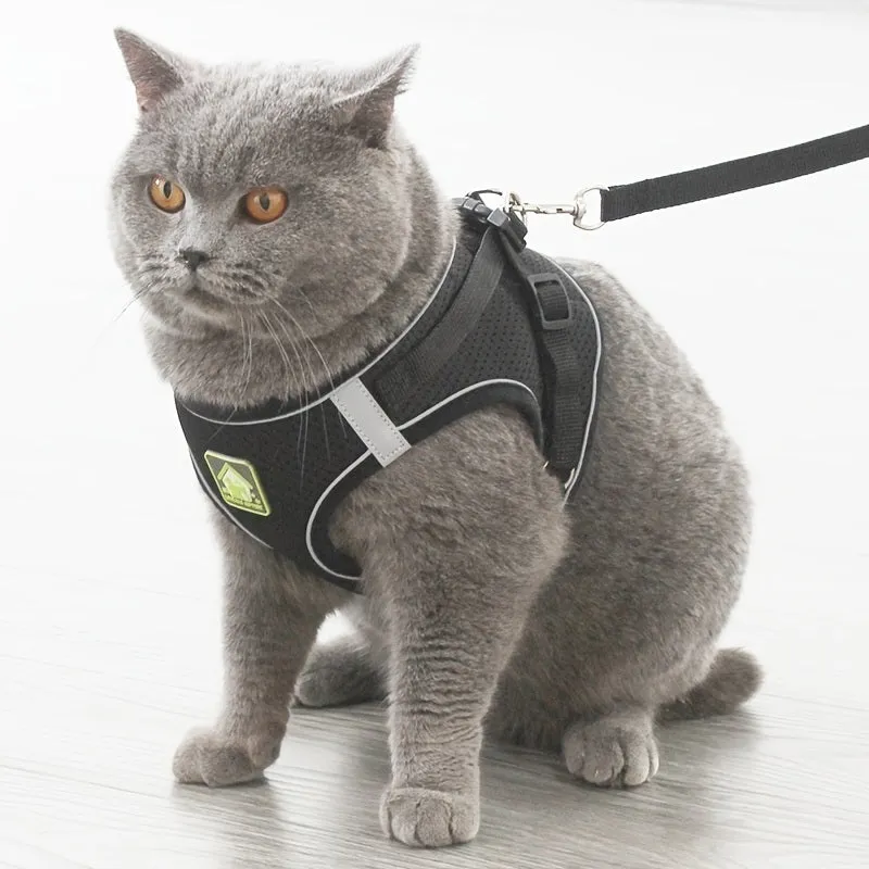 No Pull Reflective Harness And Leash Set For Small Dogs and Cats