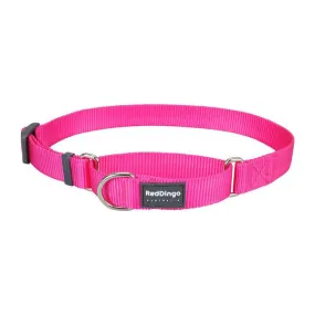 Red Dingo Dog Martingale Collar Hot Pink (25mm x 41-63cm)