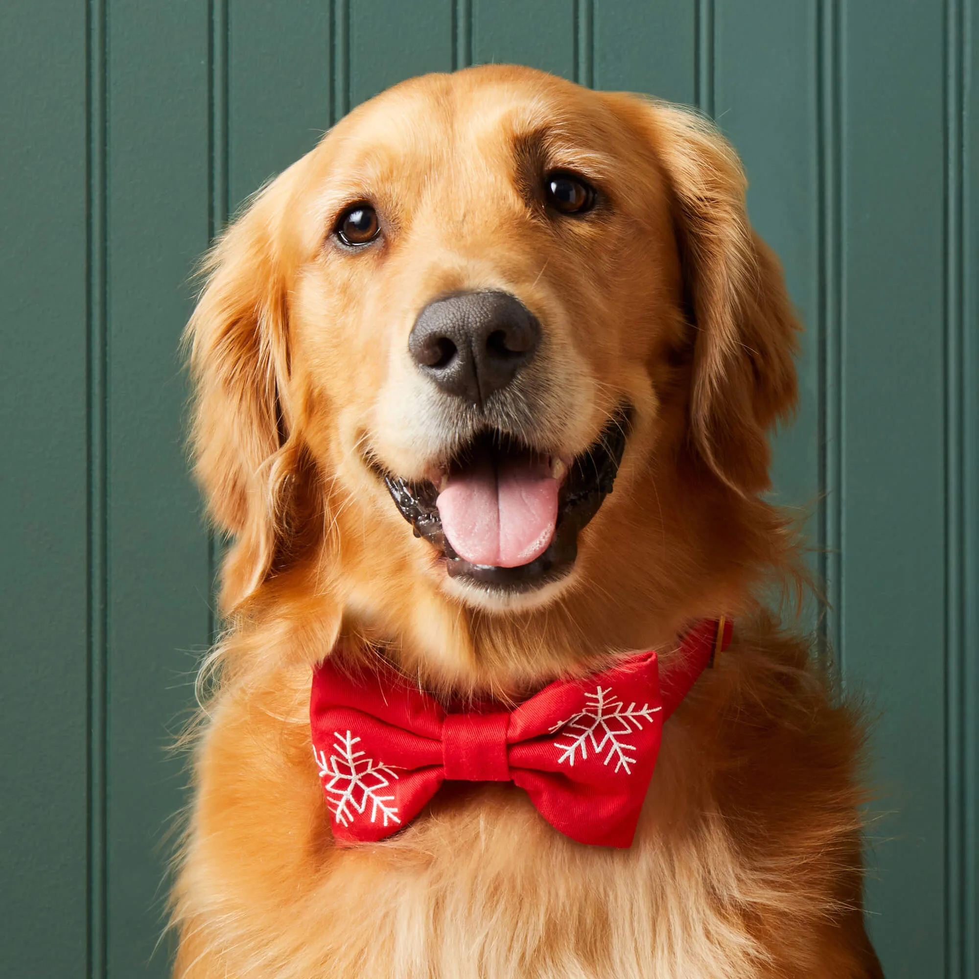 Snowflakes Embroidered Bow Tie Collar