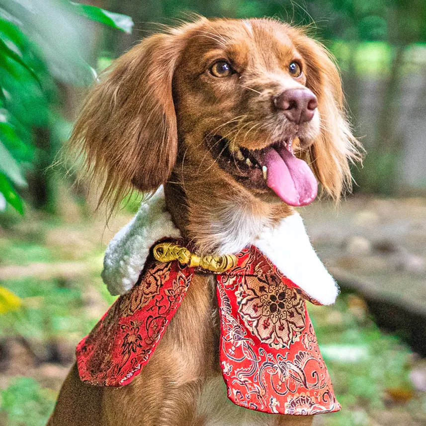 Spring Of Longevity in Crimson Gold CNY Cape with Faux Fur Collar