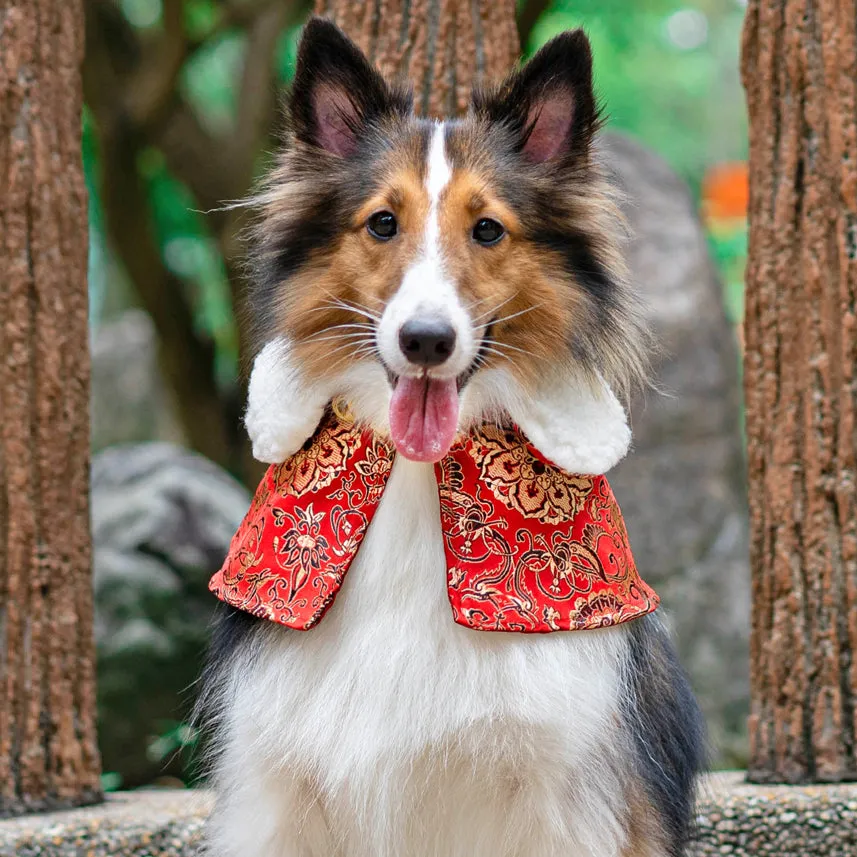 Spring Of Longevity in Crimson Gold CNY Cape with Faux Fur Collar