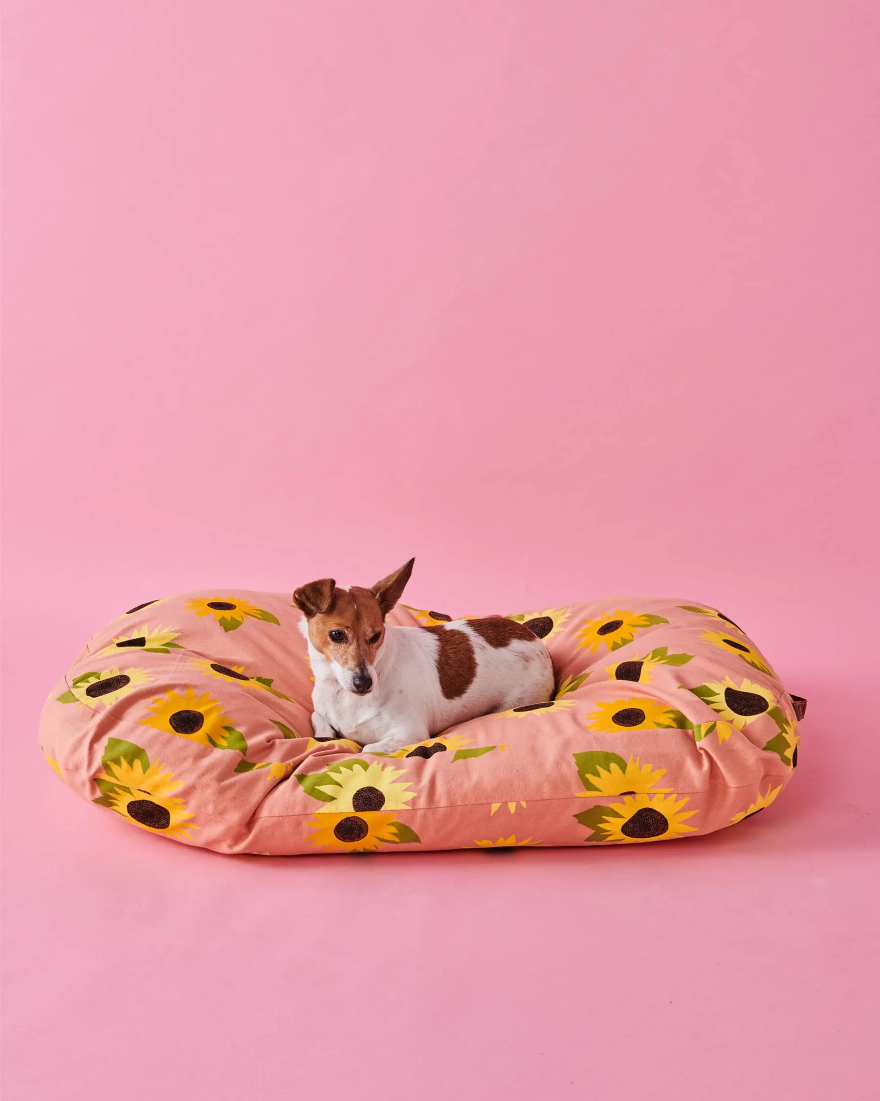 Sunflower Sunshine Dog Bed