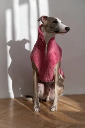 Woolen Dog Vest - Pink